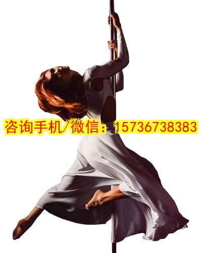 阜阳代妈家居空间设计